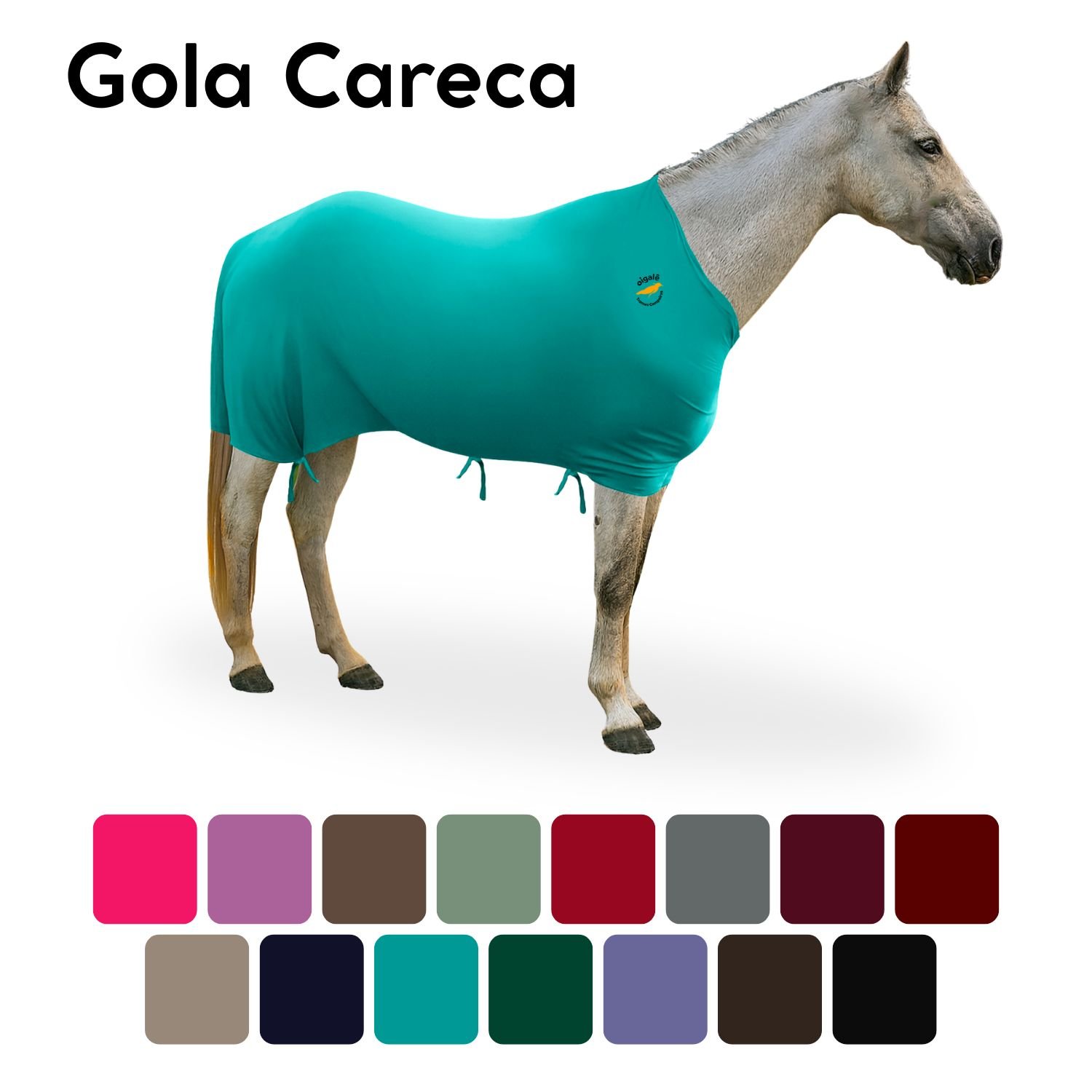 Foto de capa gola careca