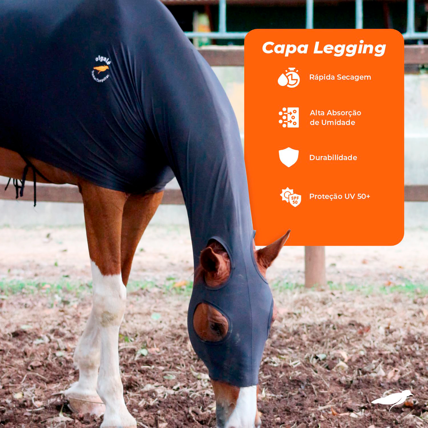 Capa Legging Gola Careca Color - Imagem 2